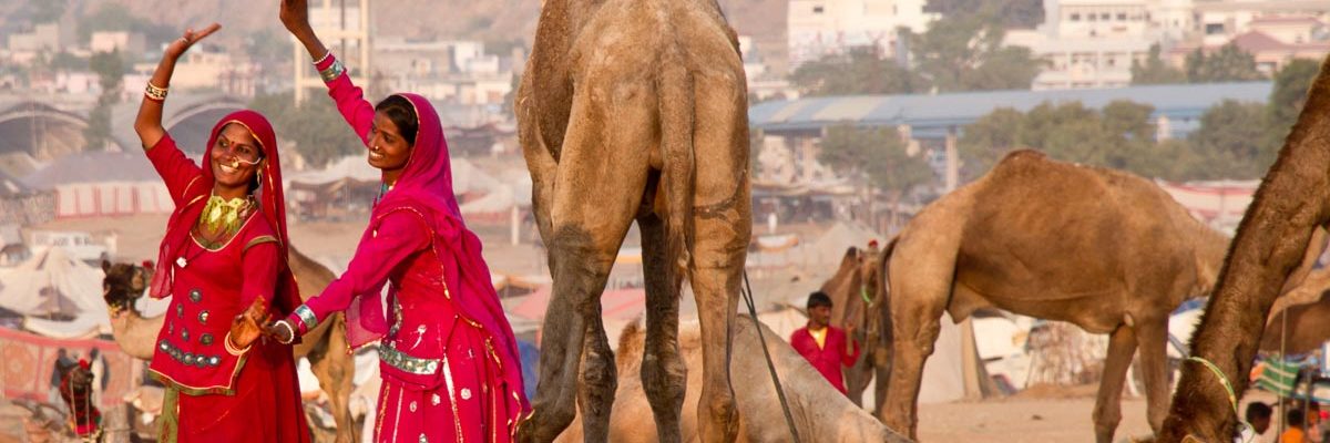Pushkar Camel Fair